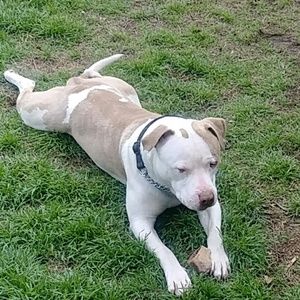 Meet your Posher, Thurman